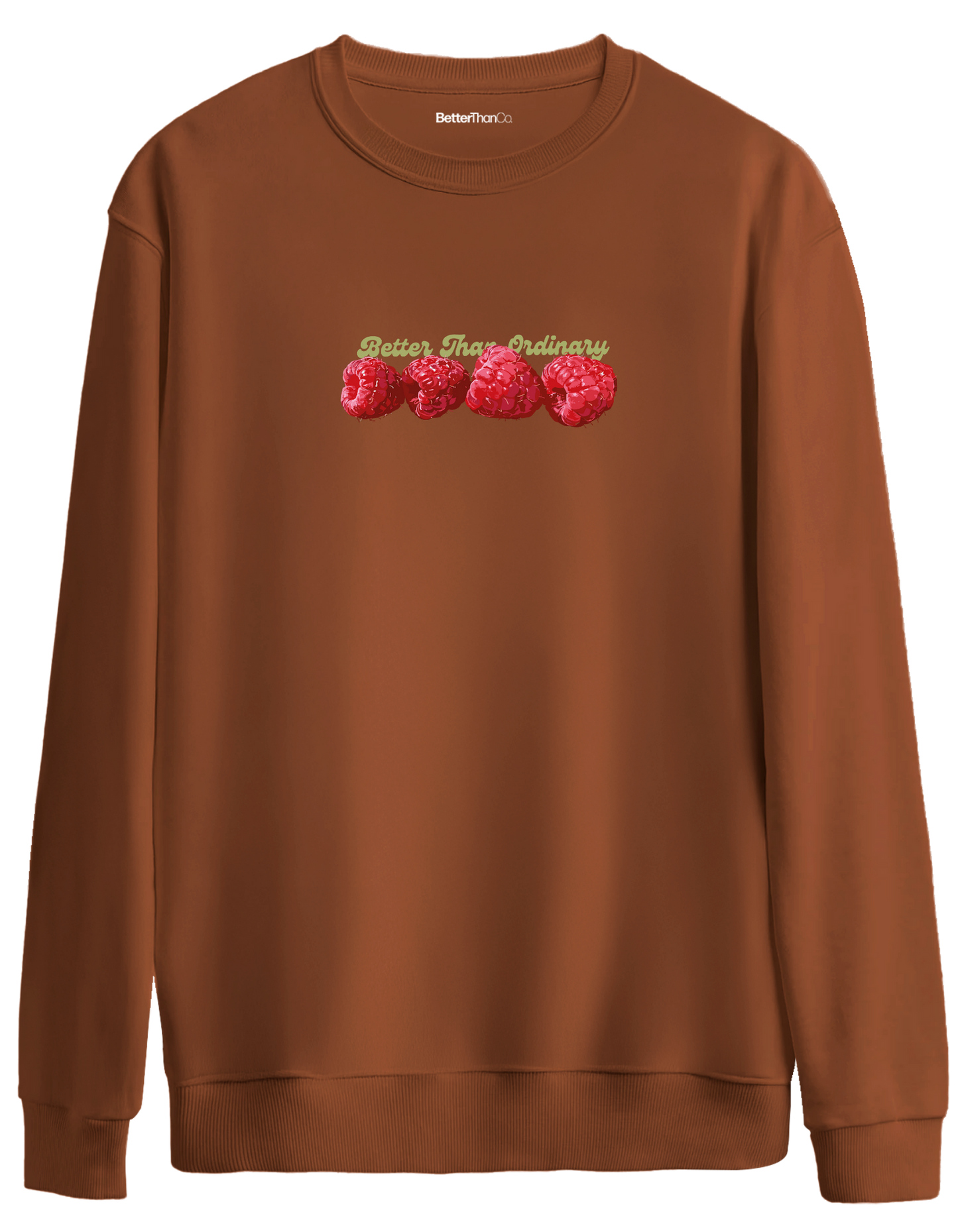 BetterThanOrdinary Baskılı Bisiklet Yaka Oversize Sweatshirt