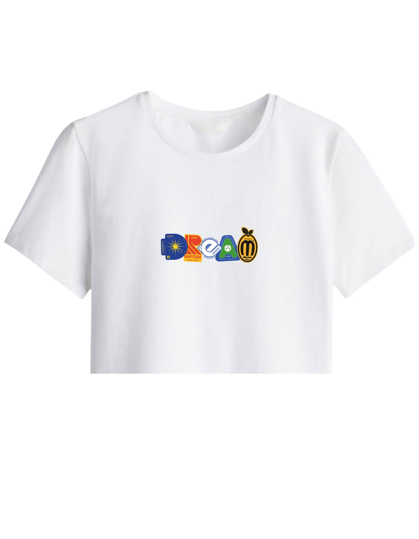 Dream Baskılı Bisiklet Yaka Crop T-shirt
