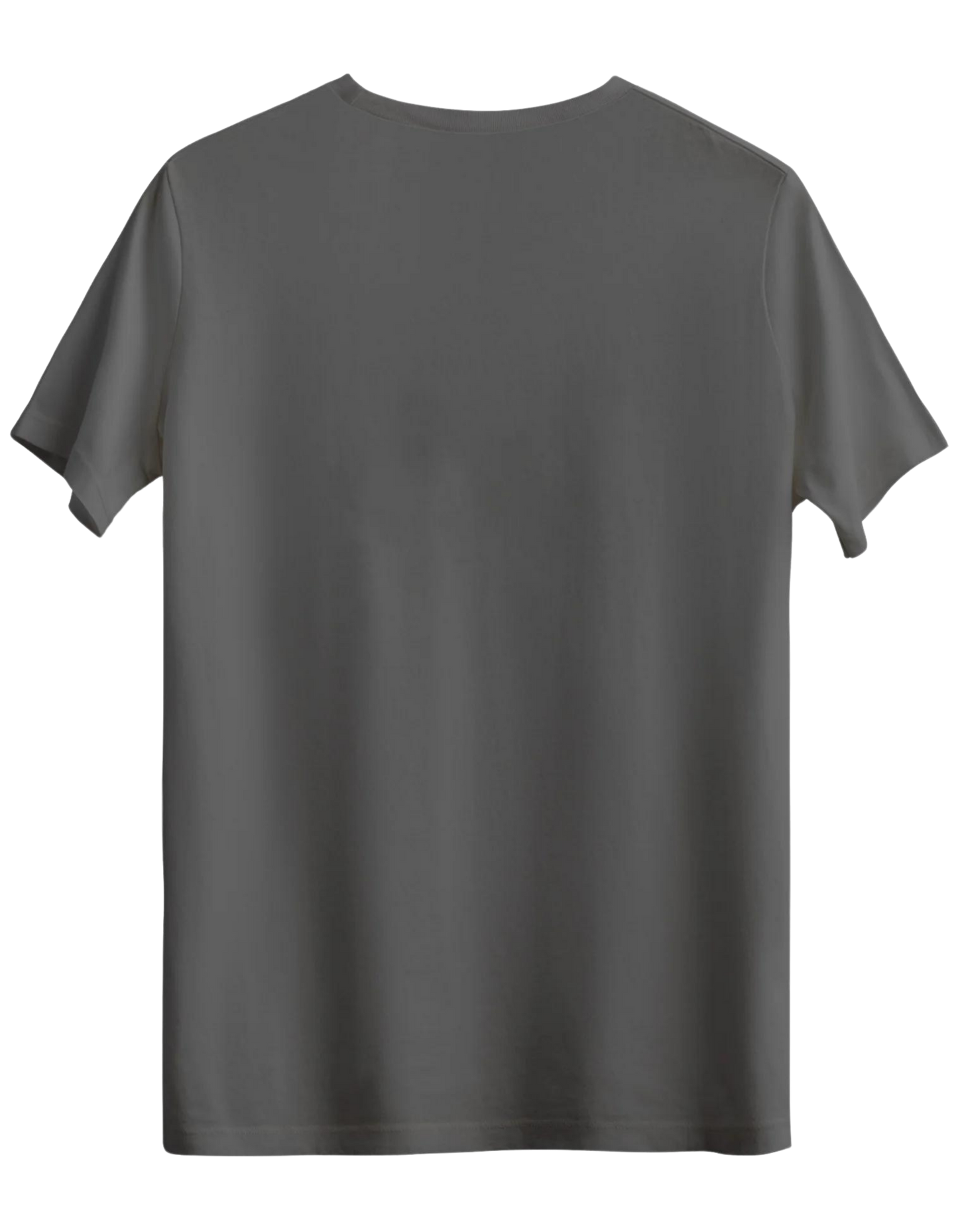 Classic Baskısız Bisiklet Yaka Regular T-shirt