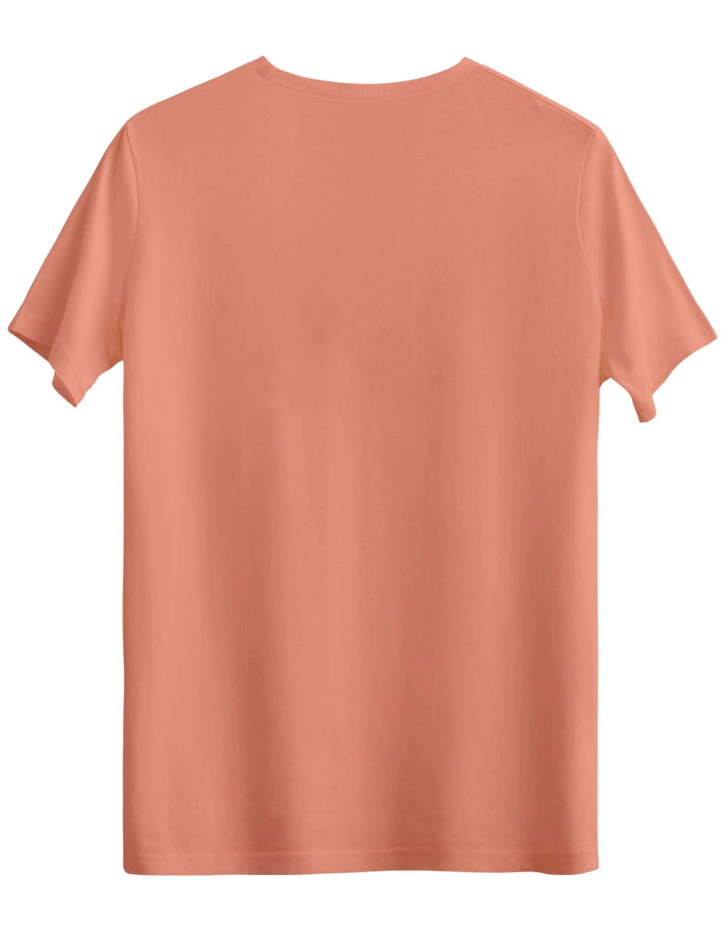Classic Baskısız Bisiklet Yaka Regular T-shirt